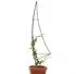 DanDiBo Rankhilfe Schwarz Metall 40x147x0.6 cm