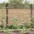 vidaXL Spiral-Pflanzenstützen 5 Stk. 150cm verzinkter Stahl (4107051)