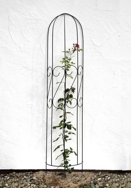 Floraworld Halbrund-Spalier 38 x 178 cm