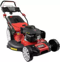 G&uuml;de Benzinrasenm&auml;her "BIG WHEELER 554.3 R" 3 Funktionen: M&auml;hen, Sammeln und