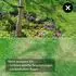 Lawnmaster OcuMow DM16-80