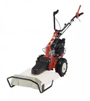 Eurosystems P55