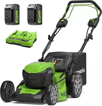 Greenworks GD24X2LM46SPK4X (46cm-48V B&uuml;rstenlos-inkl. 2x24V Akku)