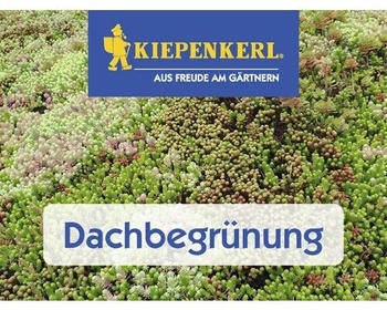 Kiepenkerl DSV 630 Dachbegrünung III Kräutermix 1 kg 200 m²