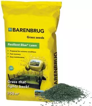 Barenbrug Resilient Blue Strapazierfähig 5 kg Trittfest!
