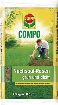 COMPO GmbH COMPO Nachsaat-Rasen - 2,5kg für 125m²