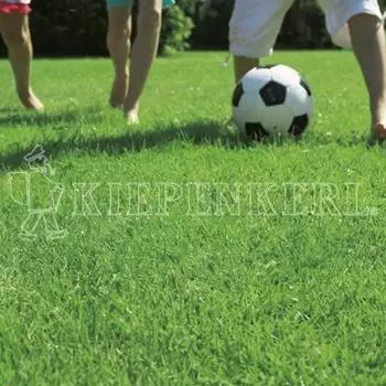 Kiepenkerl RSM 2.3 Gebrauchsrasen - Spielrasen mit Poa Supina 10 kg
