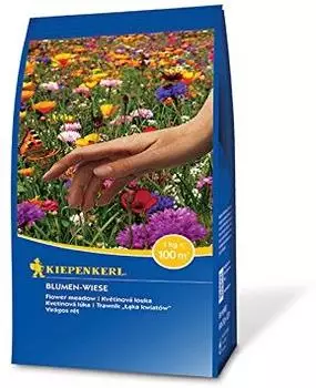 Kiepenkerl Rieger-Hofmann Blumenwiese 1 kg
