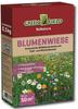 Blumenwiese Wildblumenwiese Samen 500 g Frische Saat