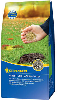 Kiepenkerl Herbst- & Nachsaatrasen 1 Kg (9396235)