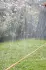 Gardena Schlauch-Regner 7,5 m (0995-20)