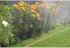Gardena Schlauch-Regner 7,5 m (0995-20)