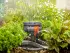 Gardena Aquazoom Compact (18708-20)