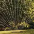 Fiskars Sprinkler L 1023661 (300 - 500 m²)