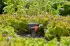 Gardena Pipeline Viereckregner (8251-20)