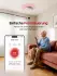 Xsense SD11-MR31 WLAN-Rauchmelder vernetzt, Magnethalterung, EN 14604 (SD11-MR31)