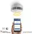 Hekatron Genius Plus X (ohne Funkmodul)