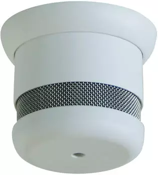 CAVIUS 5Y