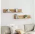 vidaXL Wandregale 2 Stk. Artisan-Eiche 100x16,5x16,5cm Holzwerkstoff (860048)