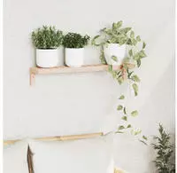 vidaXL Wandh&auml;ngeregal Natur 62 x 10 x 12,5 cm Massivholz aus Walnuss