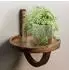 Finebuy Hängeregal rund 30x33x30cm Mango Massivholz (FB98604)