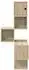 vidaXL Wand-Eckregal Sonoma-Eiche 48x48x120cm Holzwerkstoff (8012230)