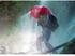 Euroschirm Birdiepal Outdoor