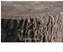 Prosperplast Regentonne Baumstamm Little Evergreen 250 Liter braun (9000730)