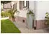 4rain Regentonne 2in1 bepflanzbar 220 Liter agave + Pflanzschale (295644)