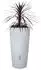 Garantia Regentonne Natura 2in1 bepflanzbare 210 Liter arctic inkl. Pflanzschale