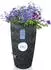 YourCasa Regentonne 240 Liter Anthrazit mit Wasserhahn