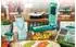 Genius - Nicer Dicer Chef - Messereinsatz 12 x 48 mm 27068