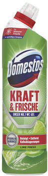 Domestos WC- Gel Lime Kraft Fresh 750ml