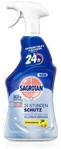 Sagrotan Allzweckreiniger 2-in-1 (0,6 L)