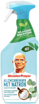 Meister Proper Allzweckreiniger-Spray mit Natron 750 ml
