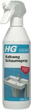 H&G Badreiniger Kalkweg Schaumspray effektives Antikalk Spray 500ml