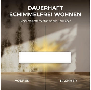 Bringer SchimmelSchreck Schimmelentferner für Wand Bad BR-SCH – Bringer SchimmelSchreck gegen hartnäckige Schimmelbildung