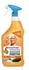 Meister Proper ORANGE Küchenreiniger 0,80 l 800 Milliliter