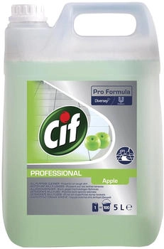 Diversey Cif Professional Apfel 2 x 5L Kanister