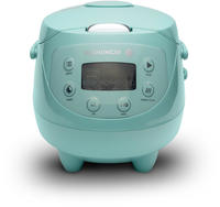 Reishunger Digitaler Mini Reiskocher (0,6l) + Reiskocher Kochbuch | Mint