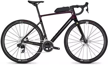 Focus Paralane 8.8 Dark Violet / Carbon Raw (2024)