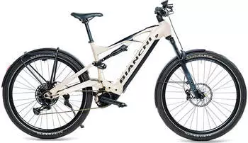 Bianchi E-Vertic Ft-Type