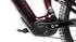 SPECIALIZED S-Works Turbo Levo 4