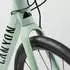 Canyon Endurace AL 7 RAW