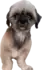 Ridley Grifn A Road