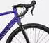 Canyon Endurace Allroad