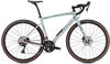 Specialized Diverge Comp Carbon (2021) Gloss Ice Blue/Clay/Cast Umber/Chrome/Wild Ferns