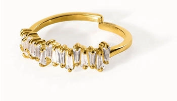 PURELEI Powder Ring Verstellbar gold