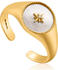 Ania Haie Ring (R022-01) gold