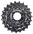12-23: XLC Primato Campagnolo Cassette black 10